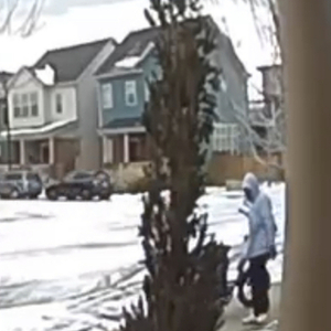 2022 Rad Power Bikes Rad Runner Plus cargo bike (rear storage) Silver, gray or bare metal