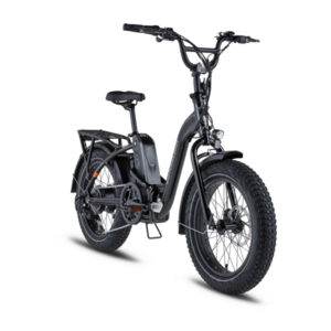 2022 Rad Power Bikes RADEXPAND5 Black