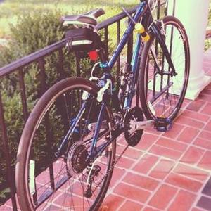 2013 Trek 7.4 FX WSD Blue