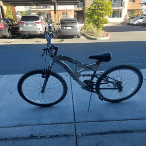 Vision Hyper Full Suspension? White, Silver, gray or bare metal, and Pink