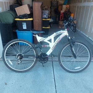 Vision Hyper Full Suspension? White, Silver, gray or bare metal, and Pink