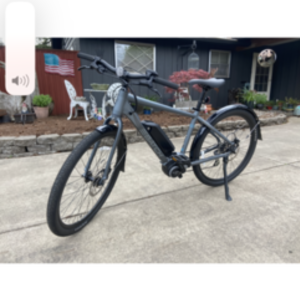 Batch Bicycles Silver, gray or bare metal