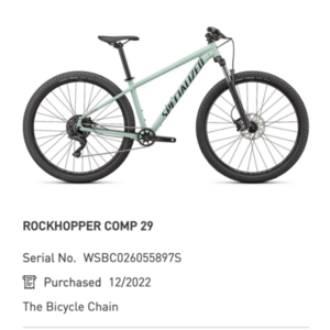 2022 Specialized Rockhopper Comp 29 Teal
