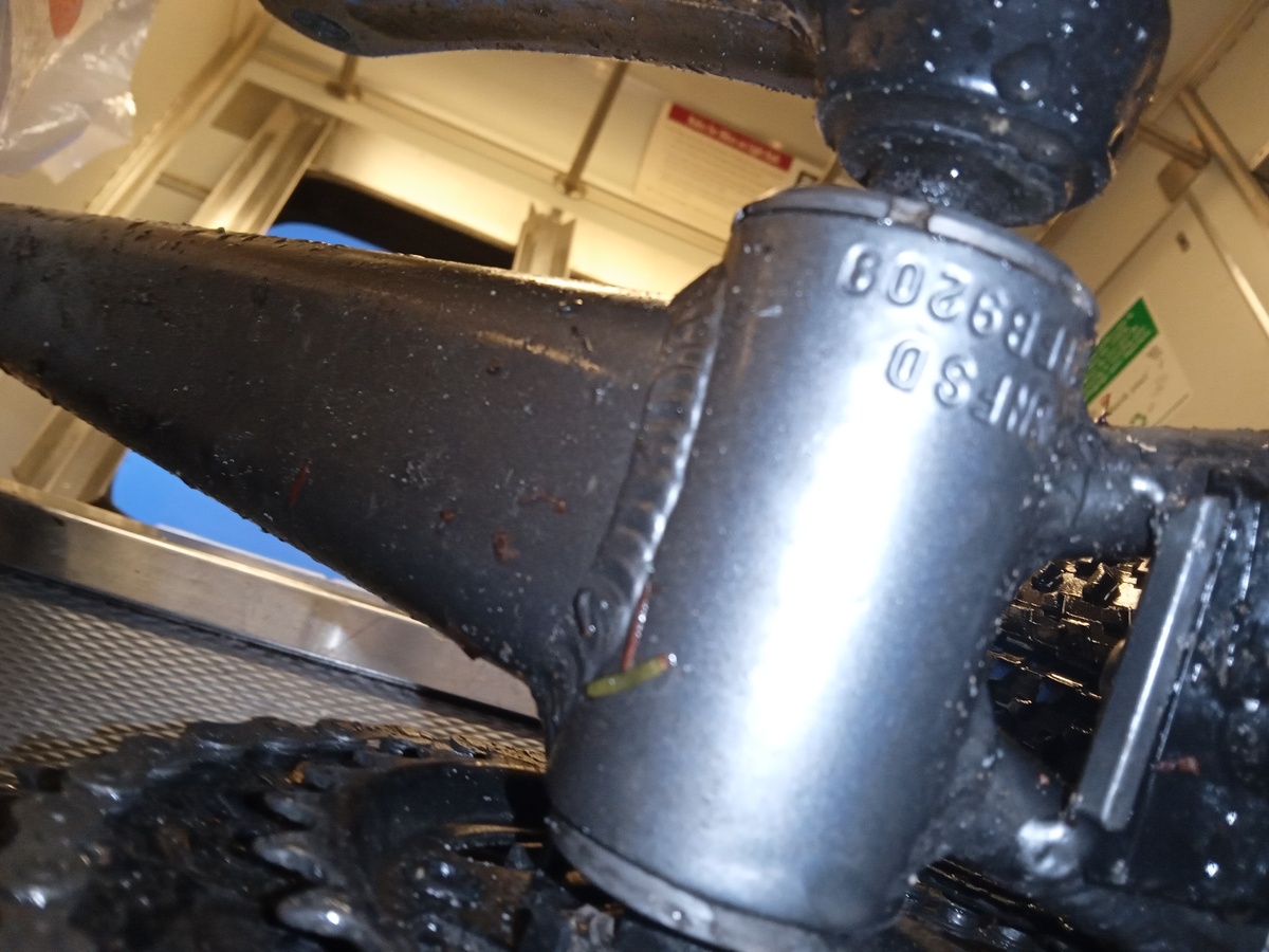 schwinn mountain pass