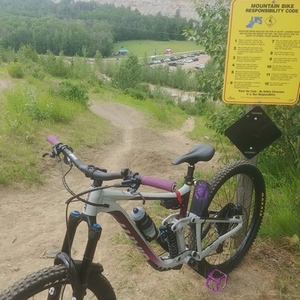 2021 Giant Reign SX Silver, gray or bare metal and Purple