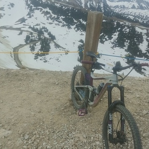 2021 Giant Reign SX Silver, gray or bare metal and Purple