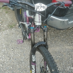 2021 Giant Reign SX Silver, gray or bare metal and Purple