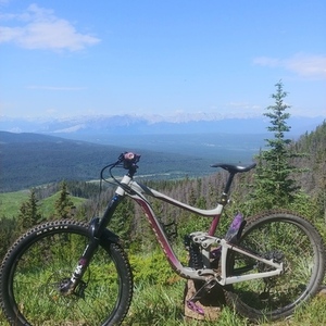 2021 Giant Reign SX Silver, gray or bare metal and Purple