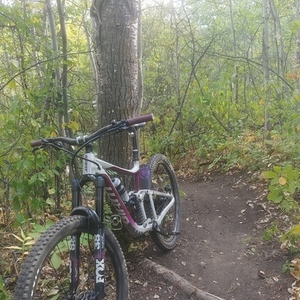 2021 Giant Reign SX Silver, gray or bare metal and Purple