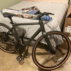 2022 Ride1Up V2 Roadster Silver, gray or bare metal