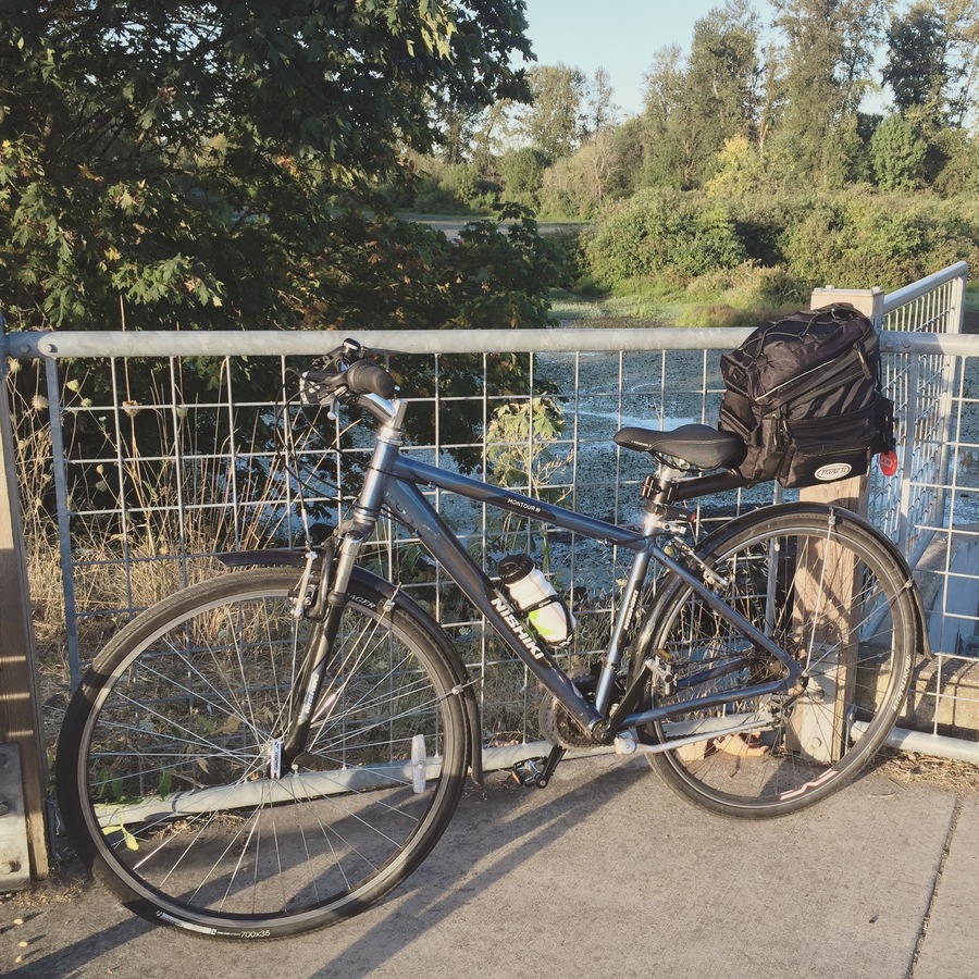 ladies vintage bike for sale