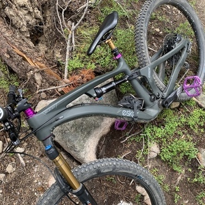 2019 Esker Elkat Silver, gray or bare metal and Purple