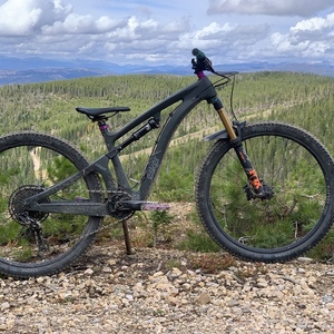 2019 Esker Elkat Silver, gray or bare metal and Purple