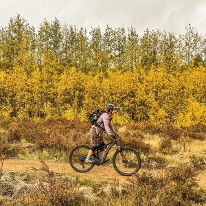 2019 Esker Elkat Silver, gray or bare metal and Purple