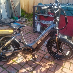 2022 Magnum Bikes 6061 Aluminum Alloy with Internal Bat... Silver, gray or bare metal