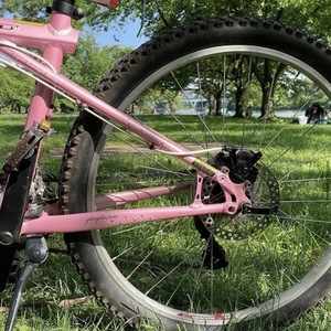 GT Bicycles Avalance Pink