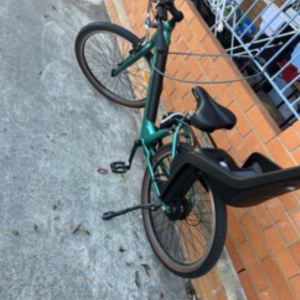 2022 Velec Velectrix22 Cruiser step through GREEN Green