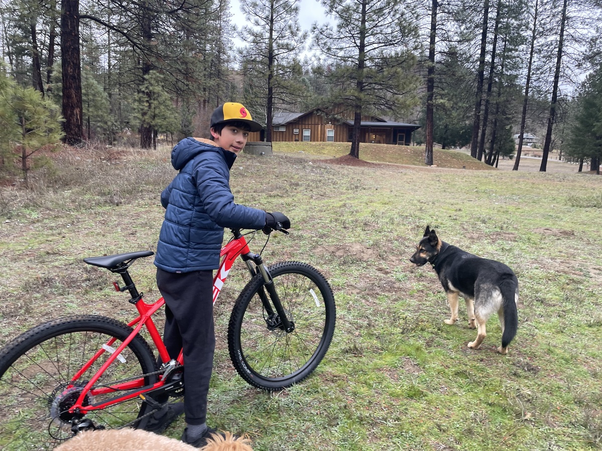 Bike photo