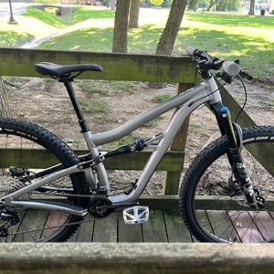 2022 Ibis Ripley AF Silver, gray or bare metal