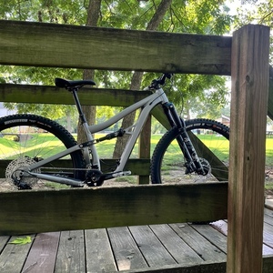 2022 Ibis Ripley AF Silver, gray or bare metal