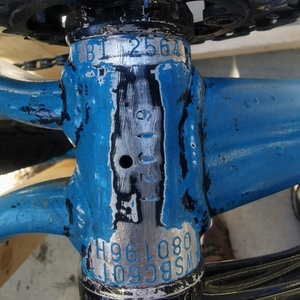 Specialized Carve Expert 29 Blue