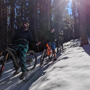 2019 Esker Elkat Silver, gray or bare metal and Purple