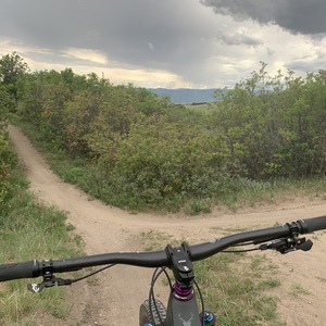 2019 Esker Elkat Silver, gray or bare metal and Purple