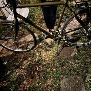 2010 Cannondale Tourist 2t Green