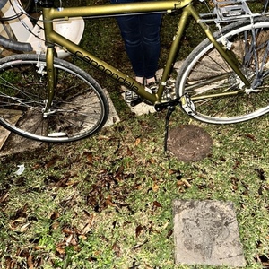 2010 Cannondale Tourist 2t Green