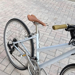 Loco Cycles Hybrid City X Step-Thru 21S White