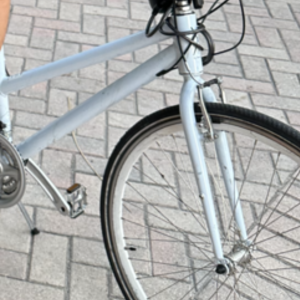 Loco Cycles Hybrid City X Step-Thru 21S White