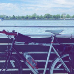 2011 Schwinn Madison Silver, gray or bare metal, Red, and Black