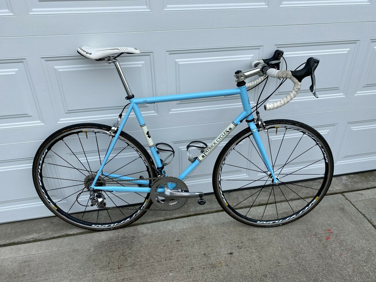Stolen 2009 Patrick Cycles Odi steel custom