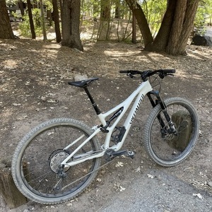 2021 Specialized Stumpjumper White