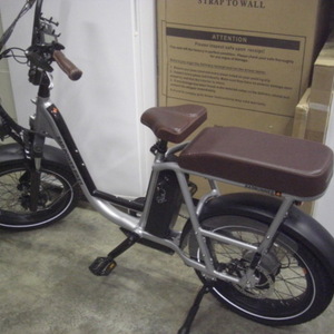 2021 Rad Power Bikes RadRunner Plus Silver, gray or bare metal