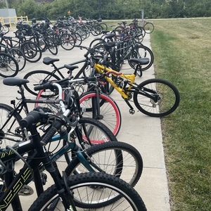 Gravity Yellow or Gold