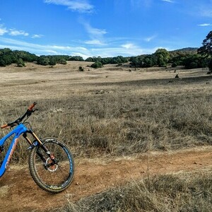 2019 Orbea Rallon Blue and Orange