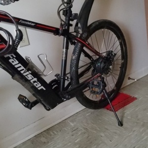 Famistar Electric bike Carbon steel Black