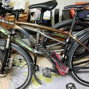 Specialized Crosstrail Brown and Black