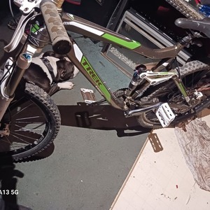 2015 Trek Fuel ex 8 evo Black and Green