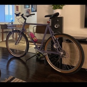 1997 Specialized Rock hopper Purple