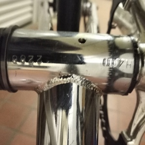 Bianchi Pista Silver, gray or bare metal