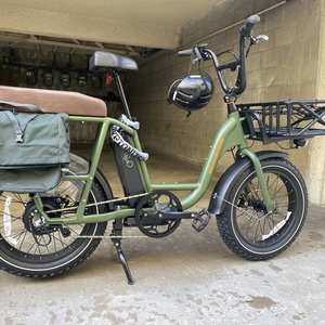 2022 Gazelle Rad Runner 2 cargo bike (front storage) Green