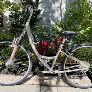 2009 Specialized Globe Carmel 1 700c Silver, gray or bare metal and Pink