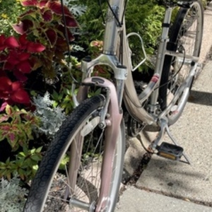 2009 Specialized Globe Carmel 1 700c Silver, gray or bare metal and Pink