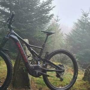 2021 Specialized Black