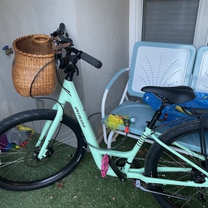 2022 Specialized Roll 3.0 Low entry Teal