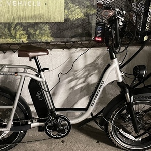 2022 Rad Power Bikes RadRunner + personal mobility device (electric unicycle, etc) Silver, gray o...