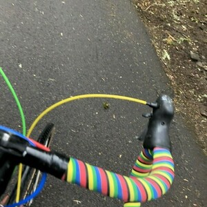 Nishiki touring Silver, gray or bare metal