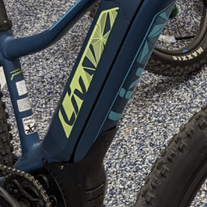 2019 Giant Vall-E+ Green and Blue